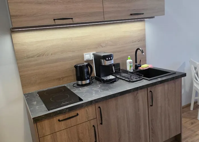 Διαμέρισμα Aparthotel10 Bystrzyca Kłodzka